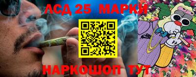 скорость Краснознаменск