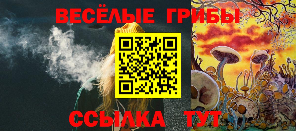 Костомукша  Галлюциногенные грибы Psilocybine cubensis  Вход с VPN 